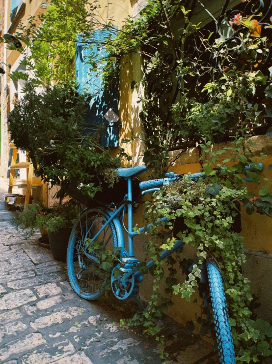 a bicycle leaning against a wall covered in greenery