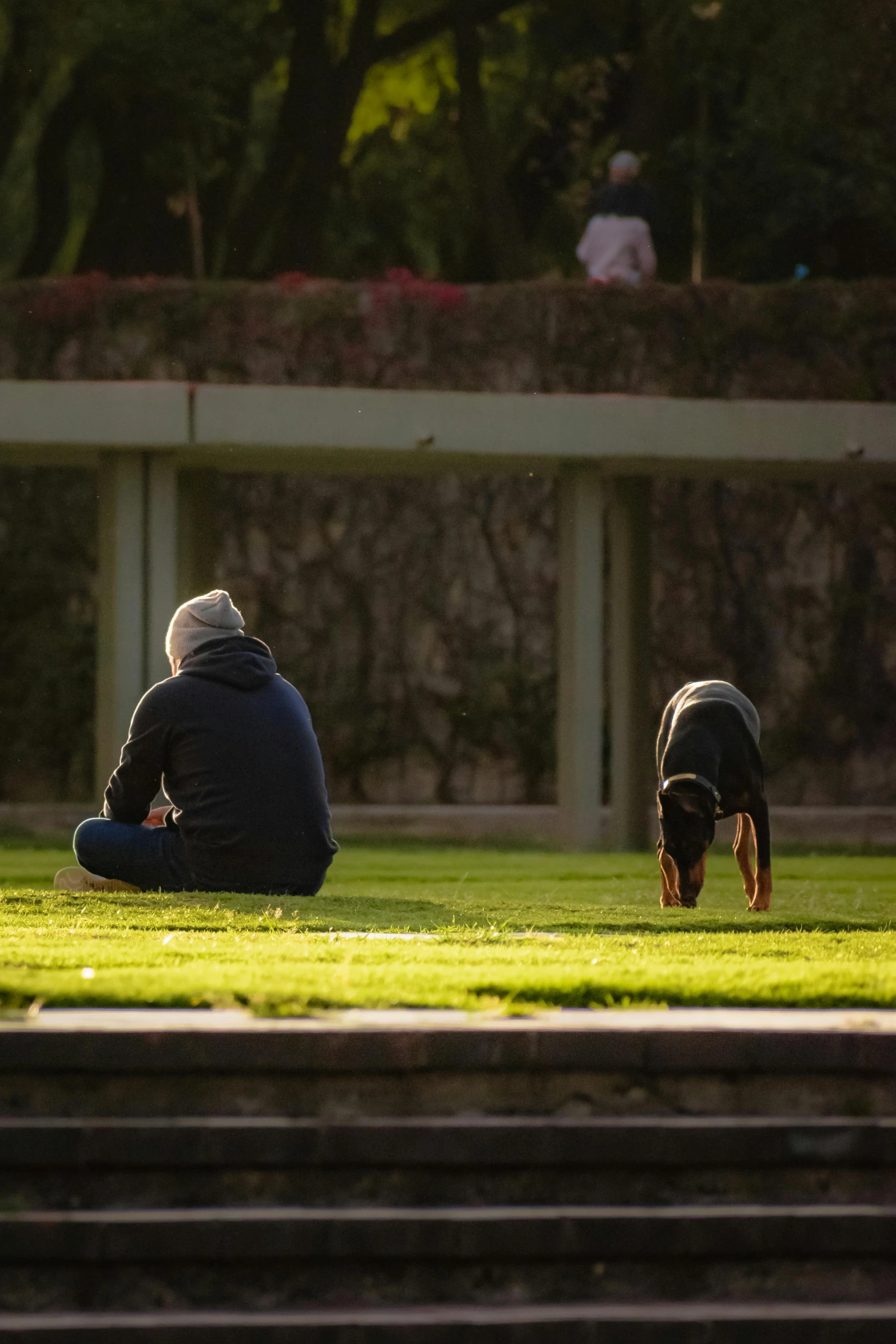 man sitting on a bench with a dog between him and his hand under the ground