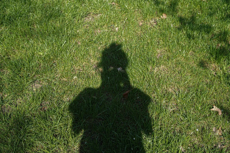 a shadow of a person standing in the grass