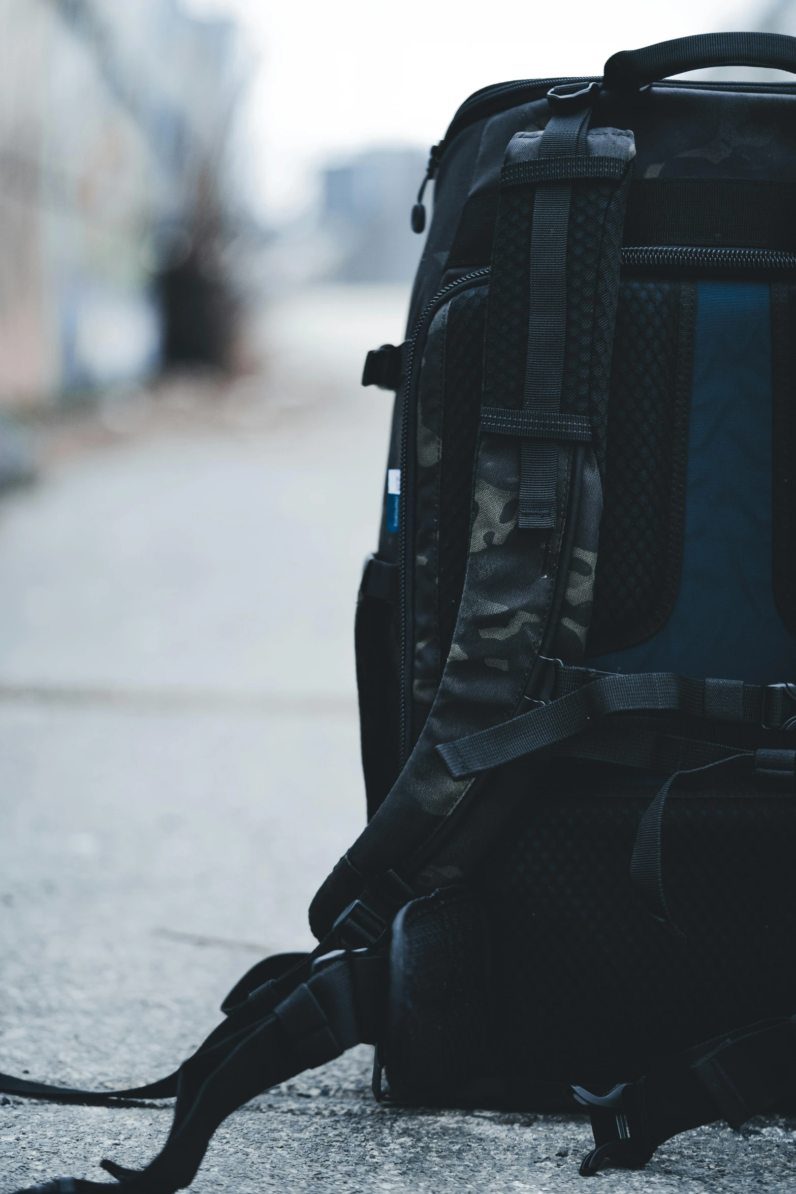 the back view of a back pack on a street