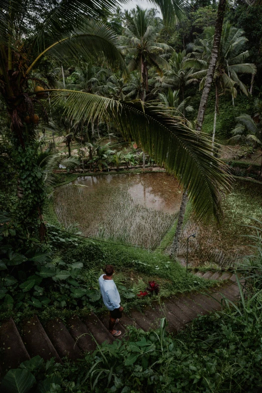 man sitting on the steps to a small pond in the middle of jungle
