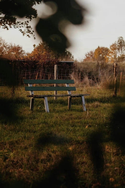 a wooden bench in a grassy area near trees