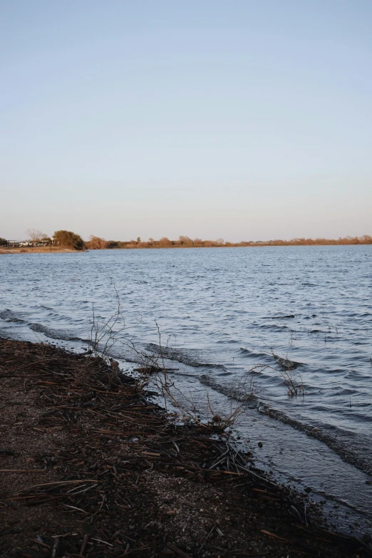 a body of water on a beach near a small island