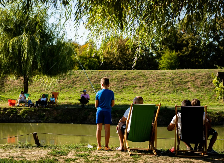 a group of people are sitting at a lake and watching others fly kites