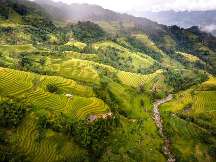 a valley surrounded by mountains covered in rice terraces