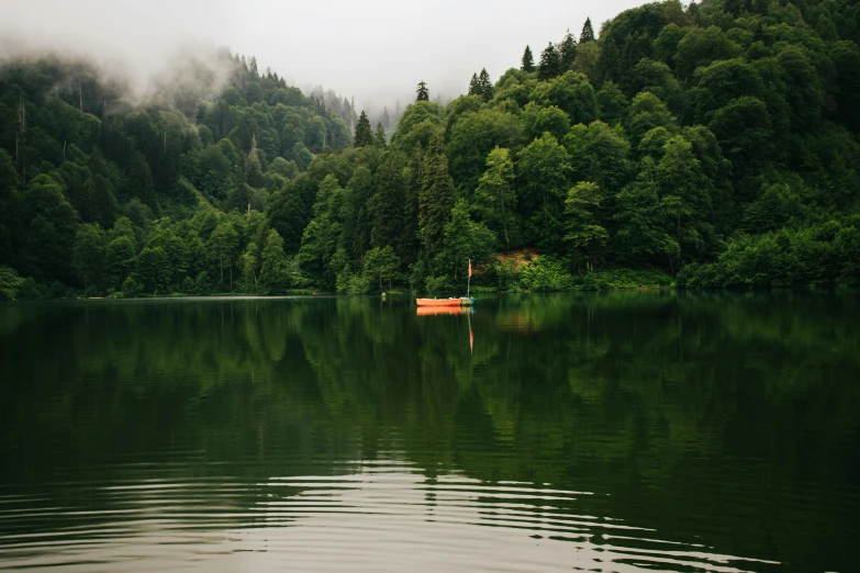 the small boat is floating on the water near the forest