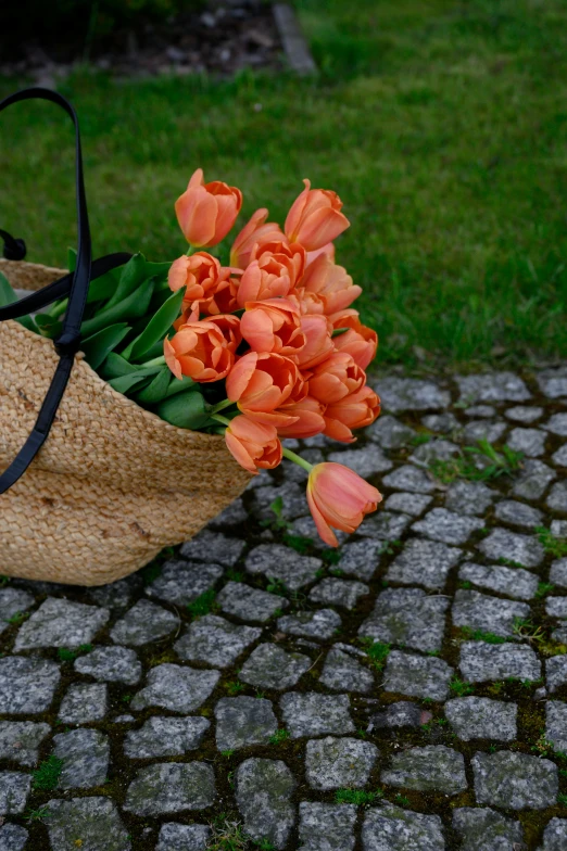 several tulips sitting on the ground in a brown tote bag