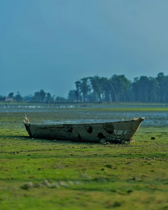 a boat sitting in a grassy area near the water