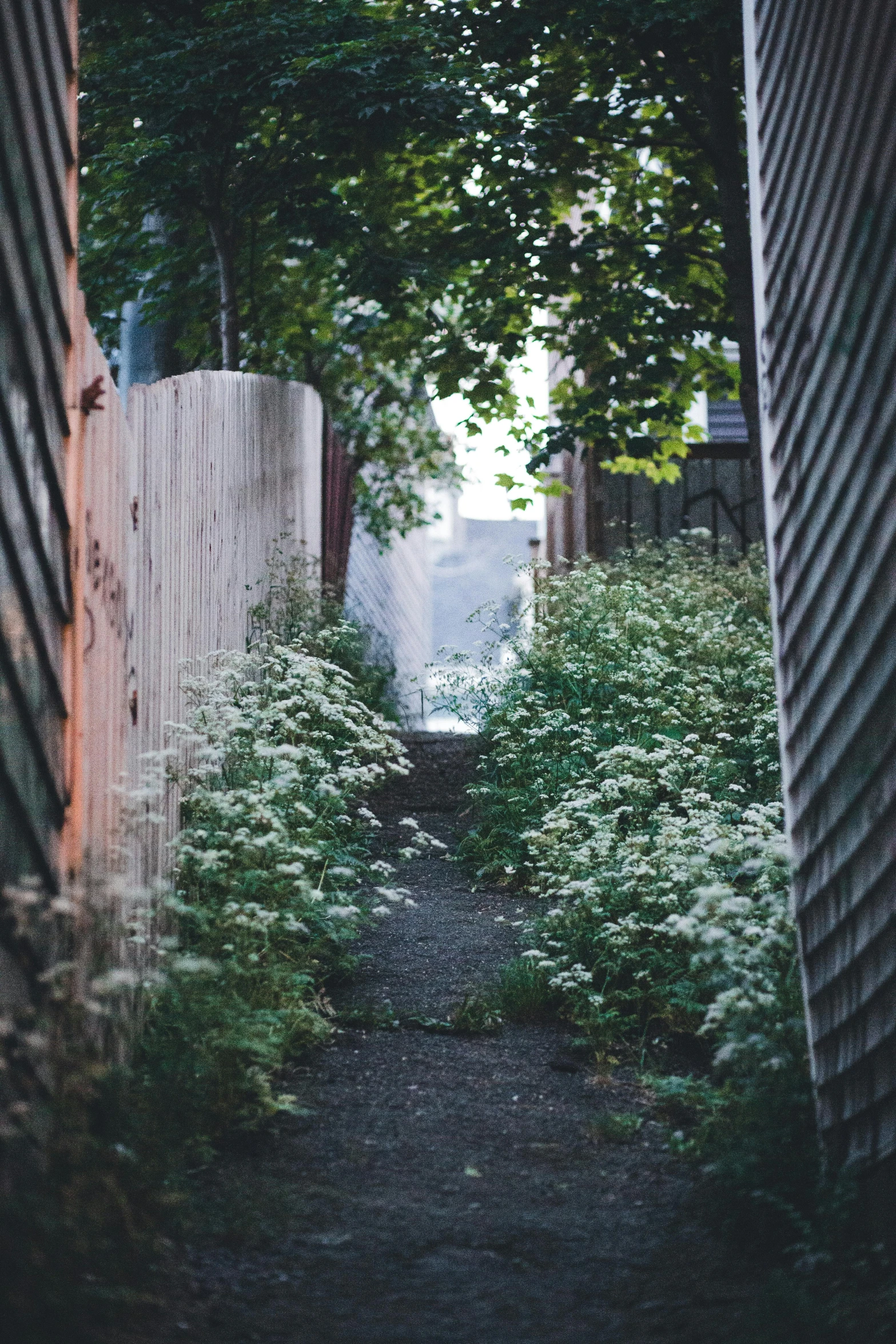 this is a black and white po in a narrow alley way