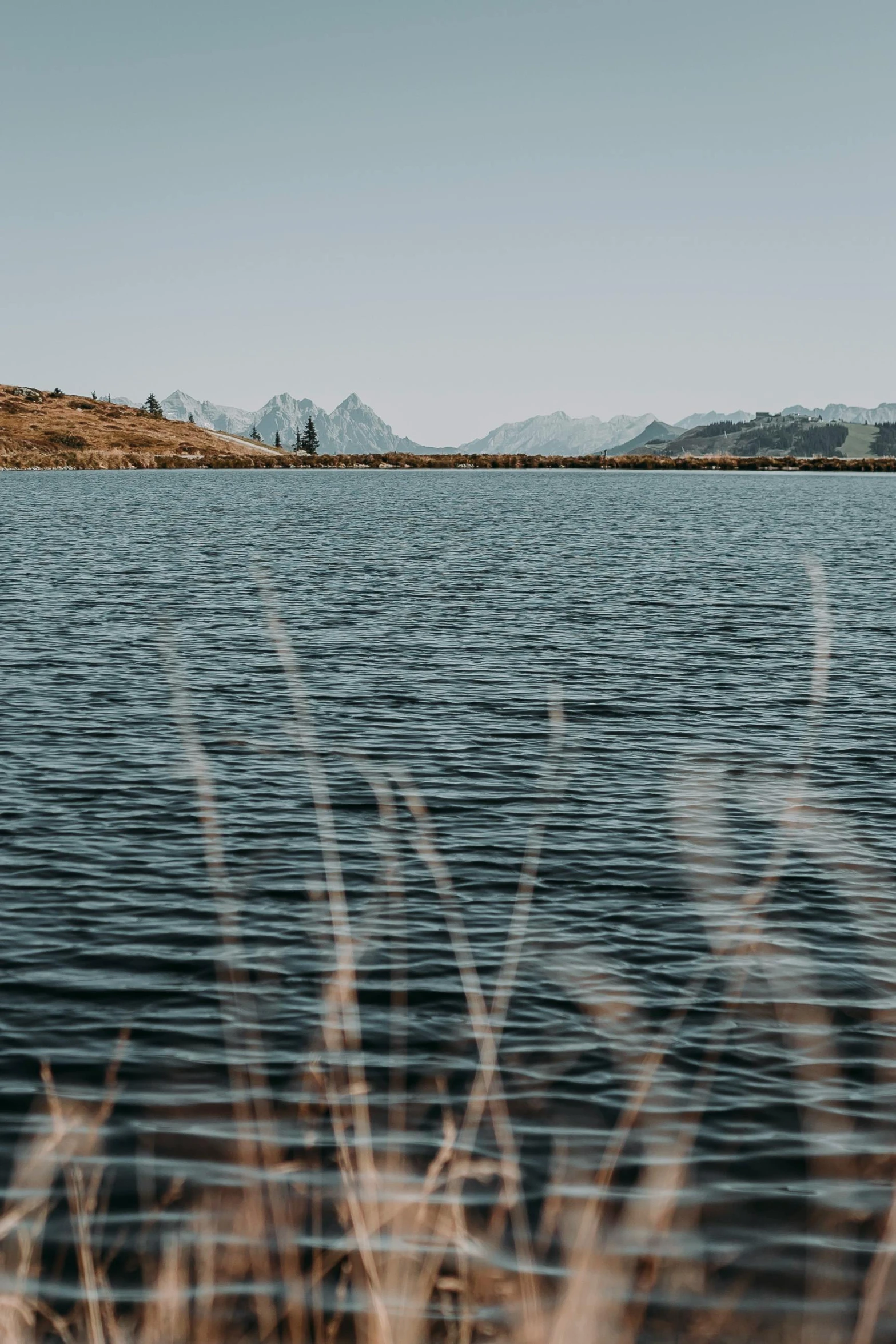 water and sky near a grassy field with some plants