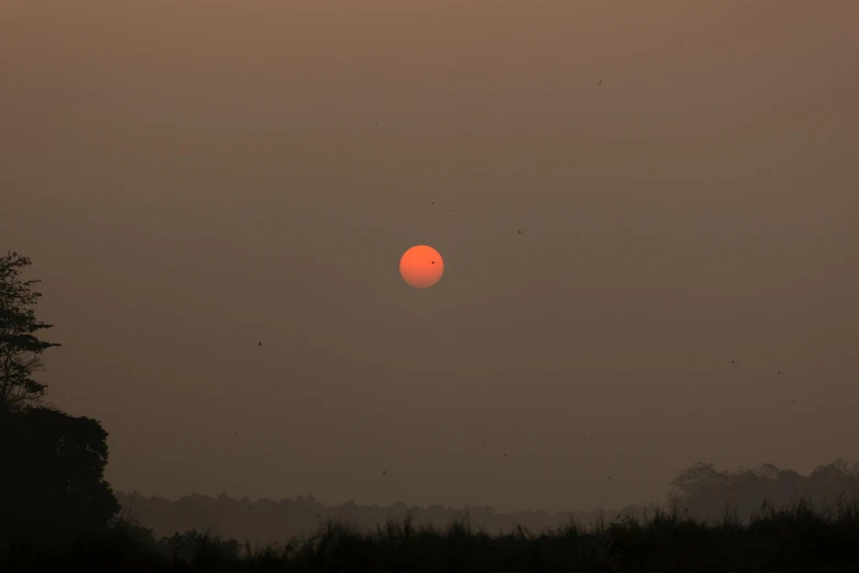 the sun sets behind some trees and grass