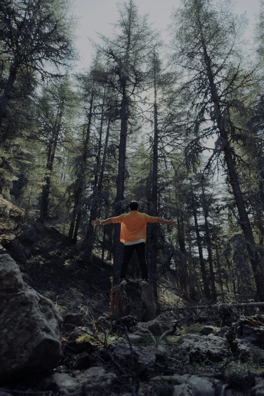 a man standing in front of large trees while holding his arms wide open