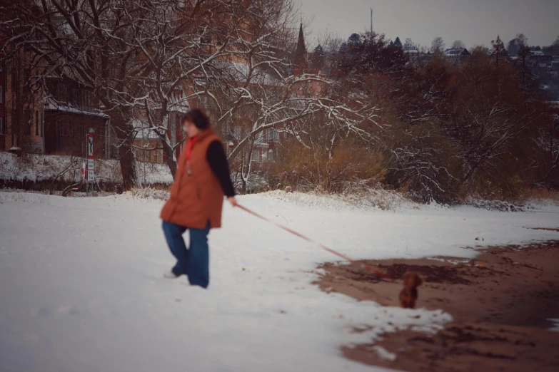 woman walking her dog through the snow