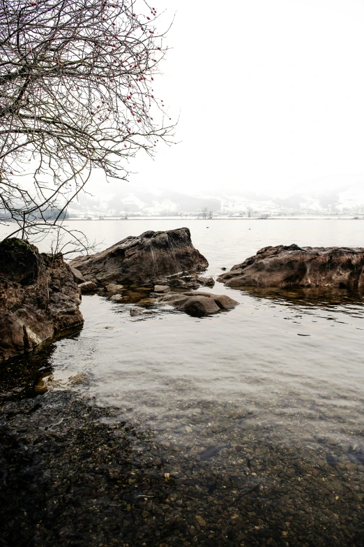 a bird sits on some rocks by the water