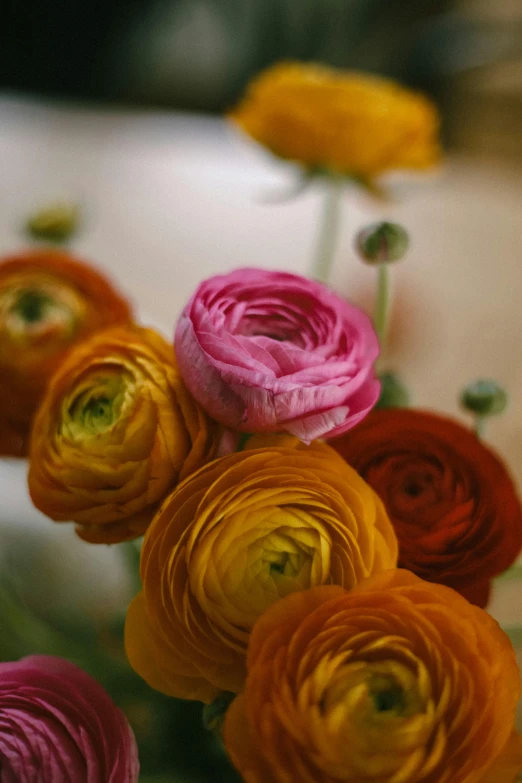 a group of flowers sitting on top of a table