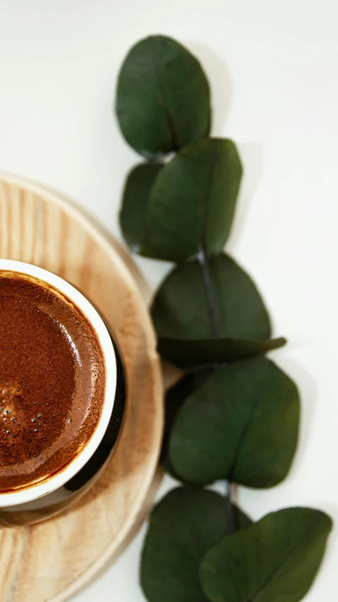 a cup of  chocolate on top of a plate