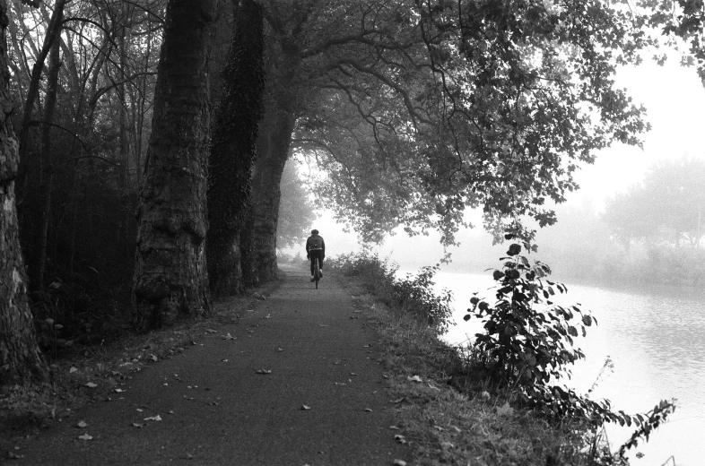 a person walking on a dirt path by some trees