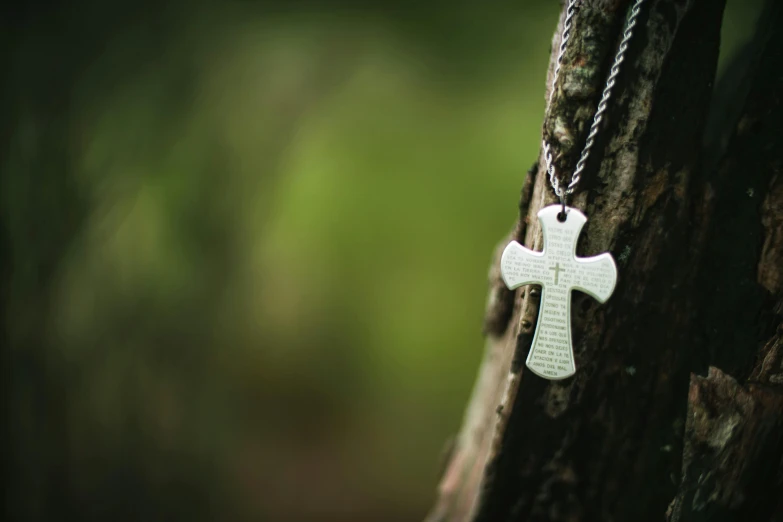 the cross is hanging on the tree in the forest