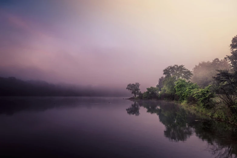 foggy trees and water with very low light