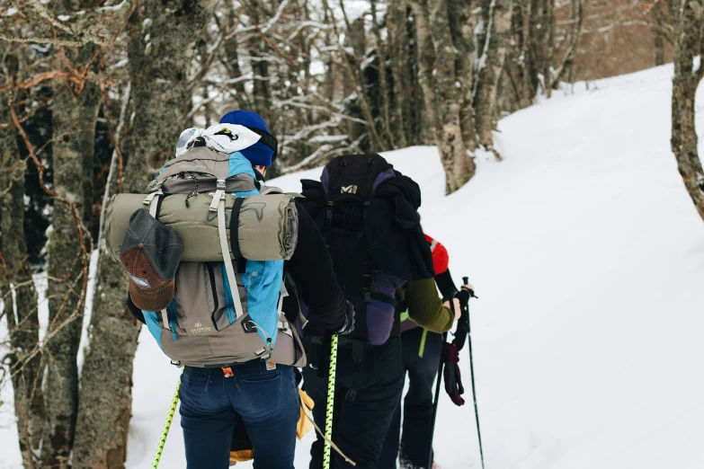 group of people hiking through the snow in skis