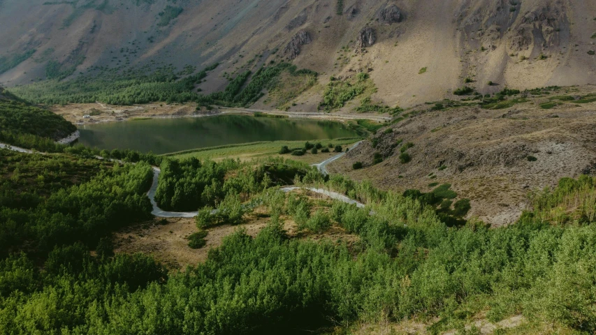 a wide valley with some green plants in it