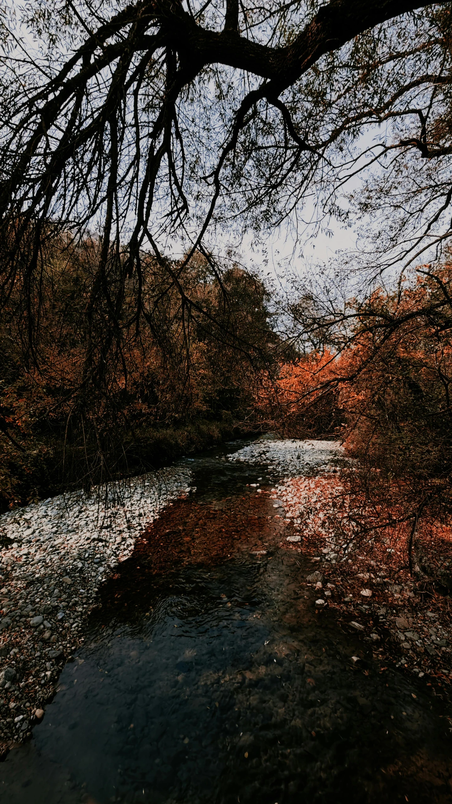 the river is clear and there are trees surrounding it