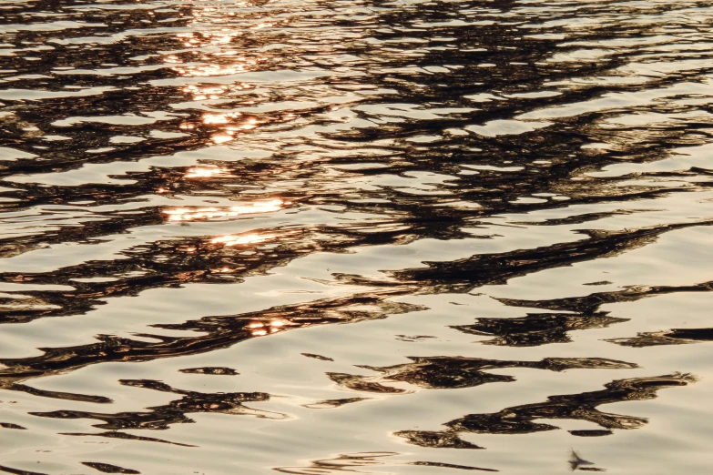 the water surface is reflecting the light from the sun