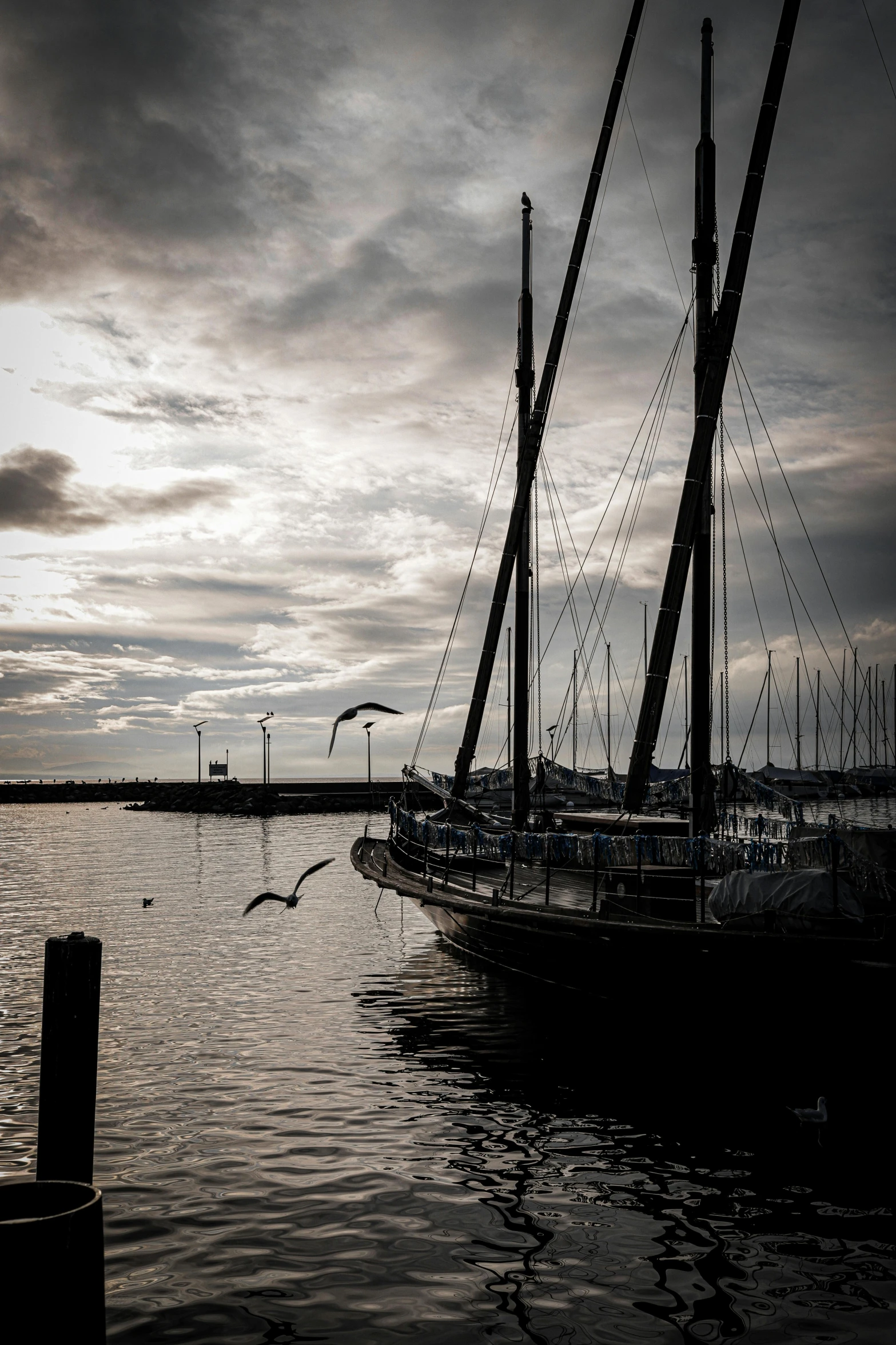 a sailboat sitting at dock as birds fly overhead