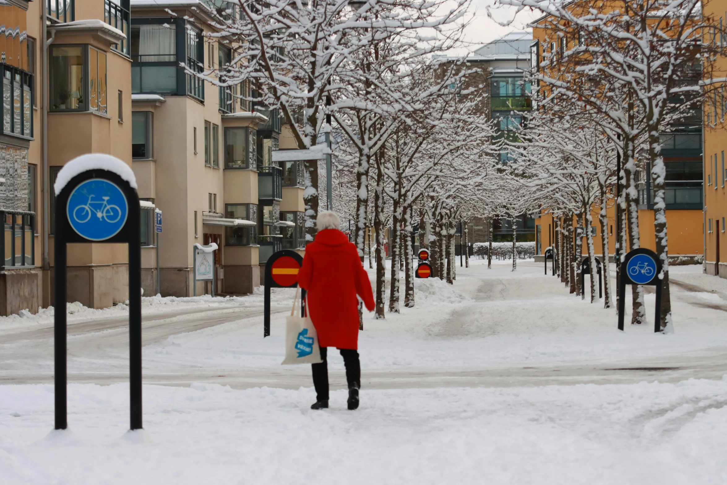 a person walking through the snow near trees