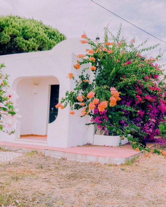 a bunch of colorful flowers on a white building