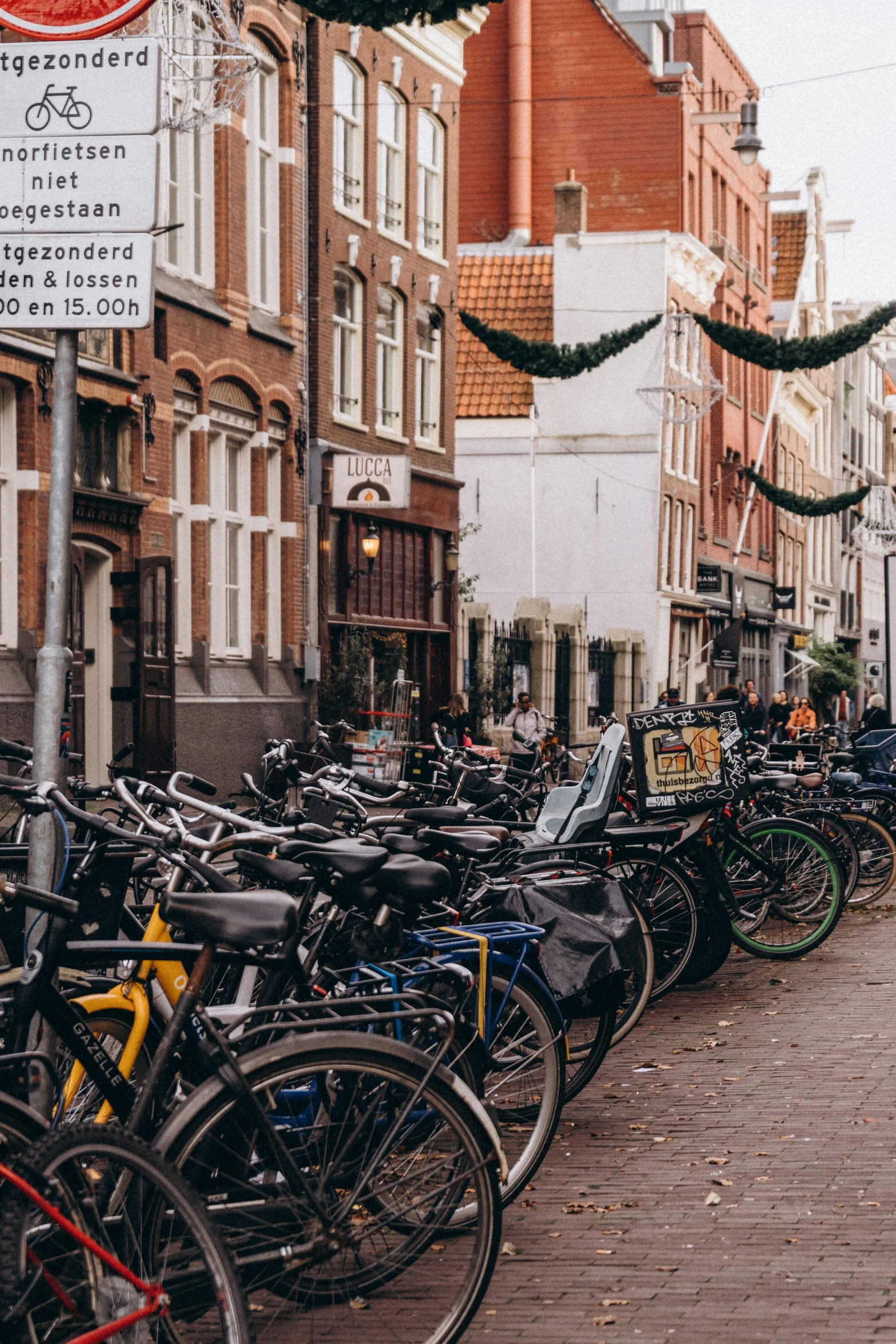 bicycles parked in a long row on the side of a street