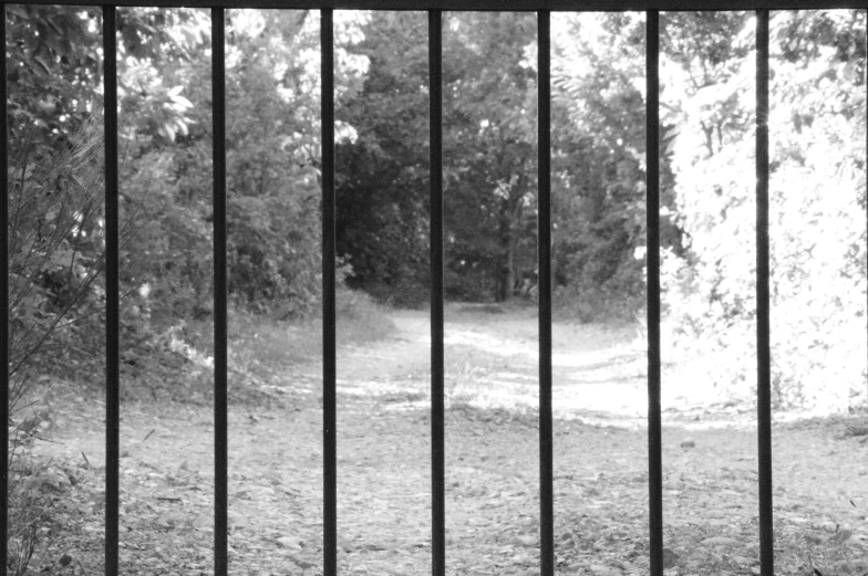 a black and white image of bars of iron railing