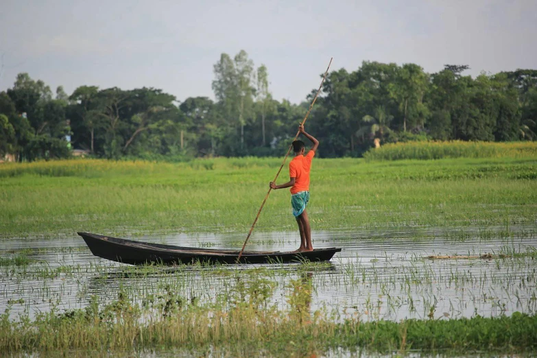 a man is paddling a small boat through tall grass