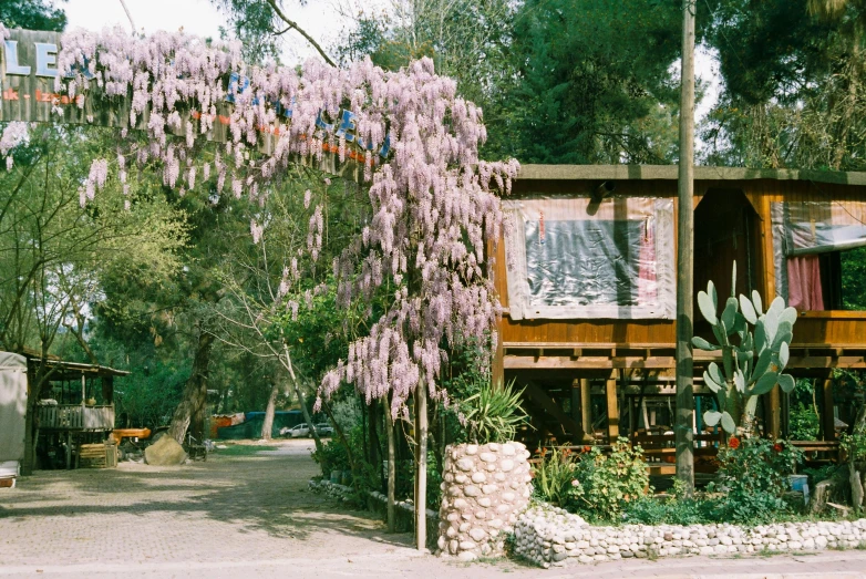 a very cute old fashioned cabin with flowers in it