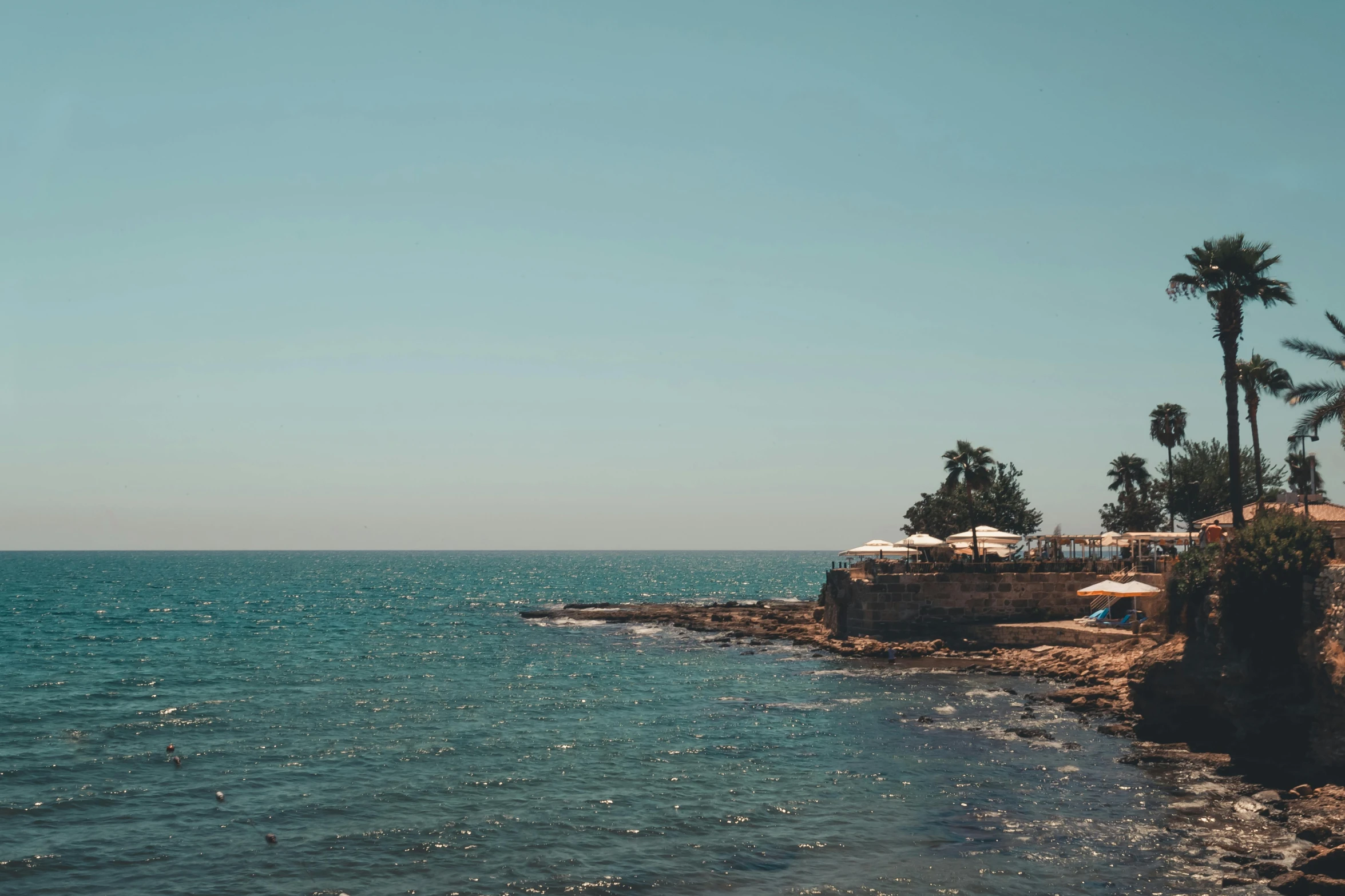 a large body of water next to palm trees