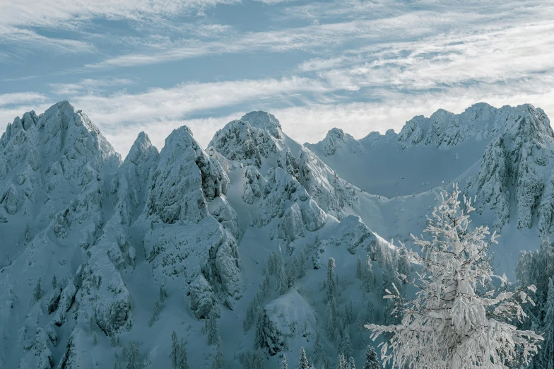 a group of mountains with snow and trees