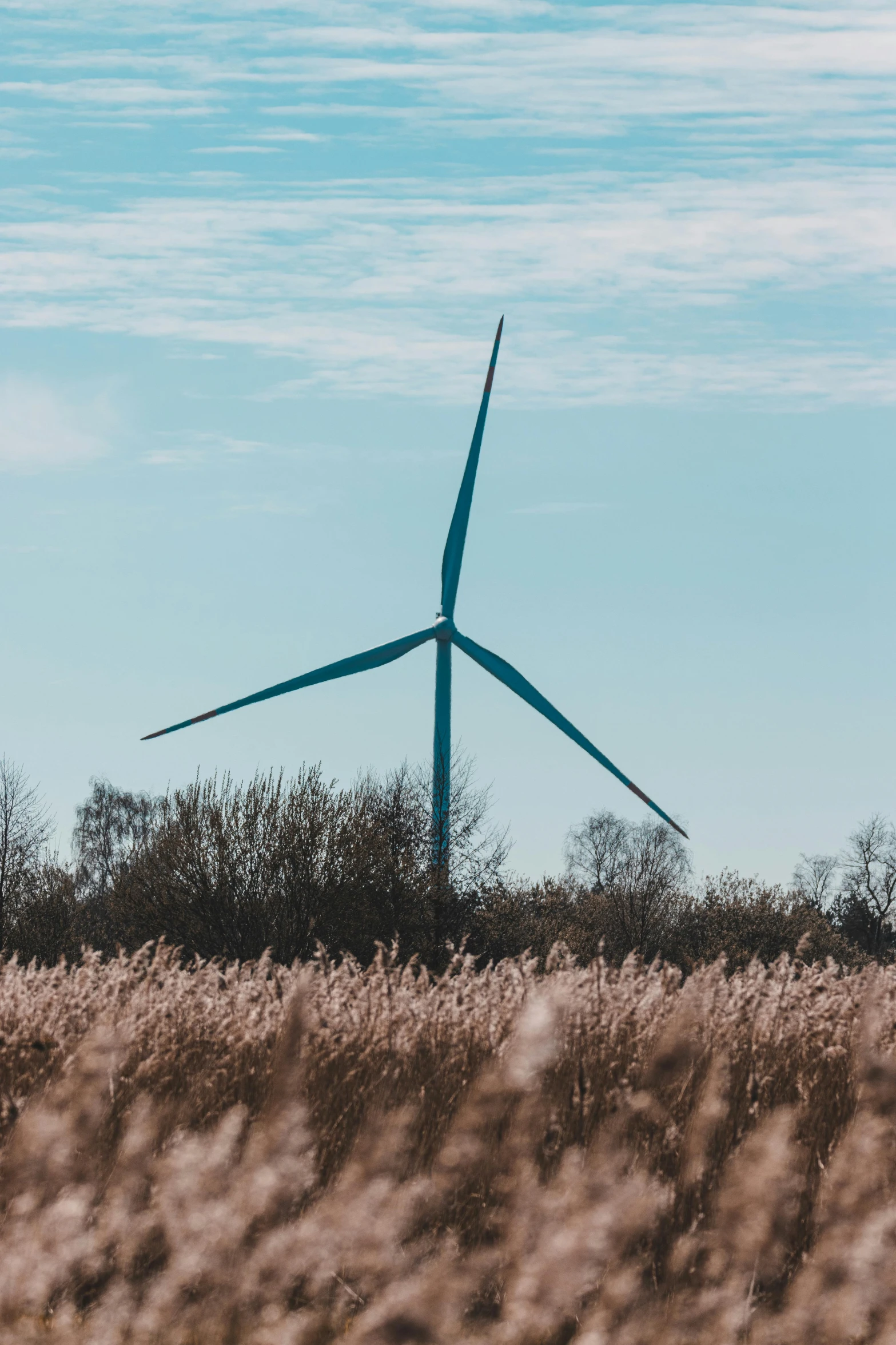 a wind farm with tall grass and blue skies