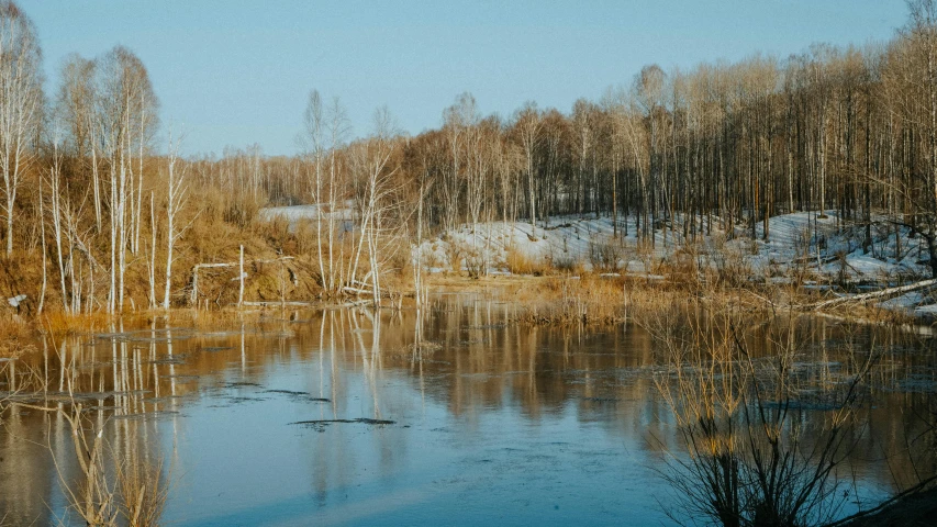 the trees line the side of the water with no leaves on them