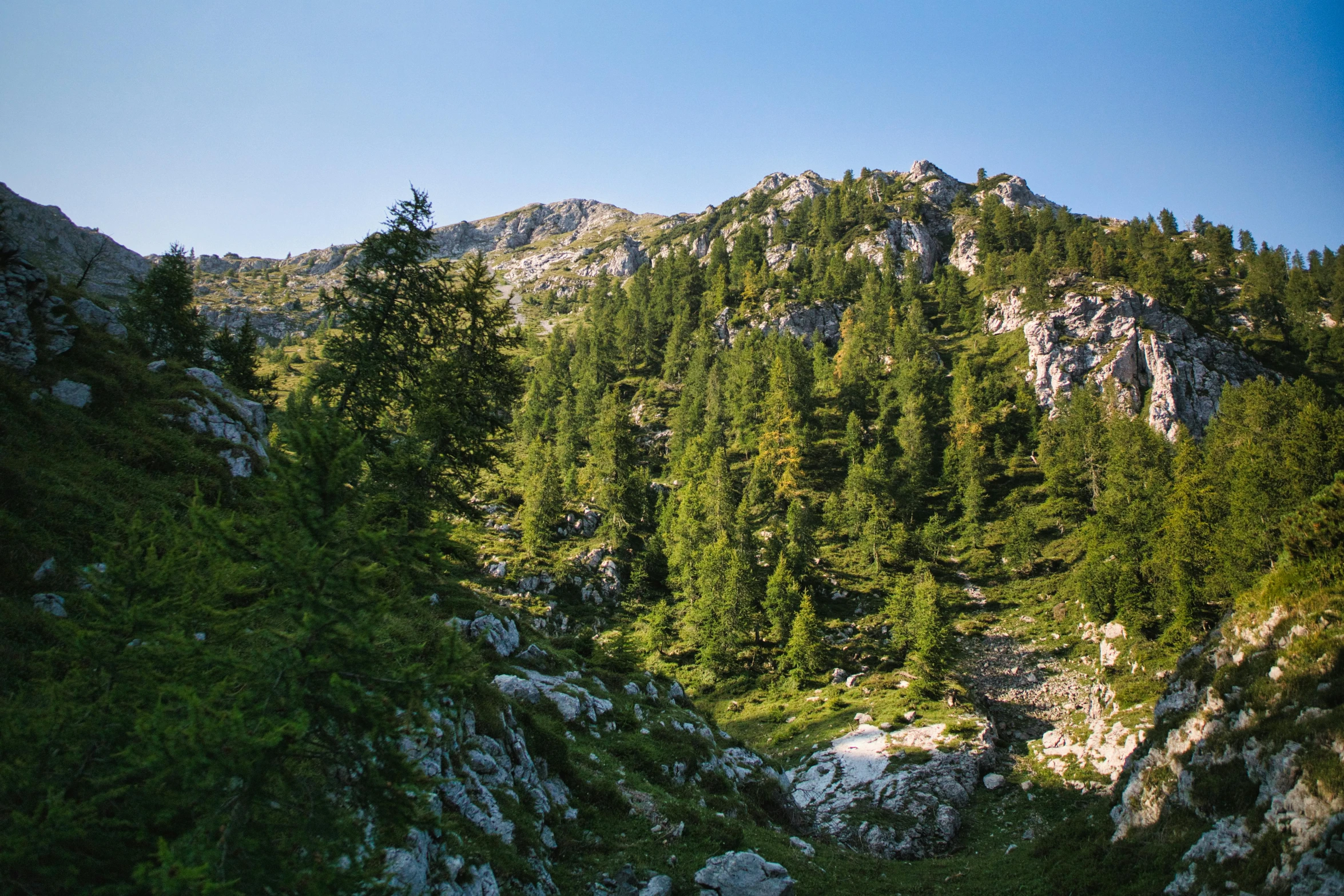 the view from high up in the mountains with trees