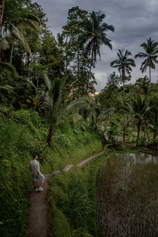 a man sitting on a path by a large dle