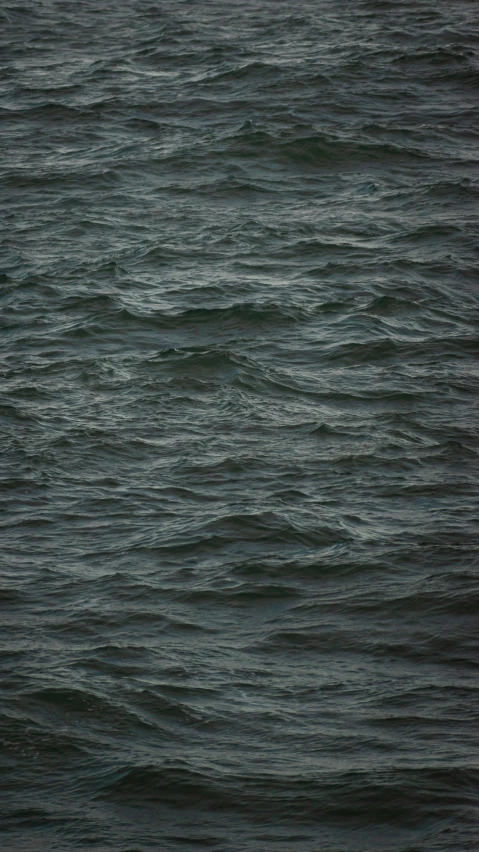 a bird flying over the ocean in a foggy weather