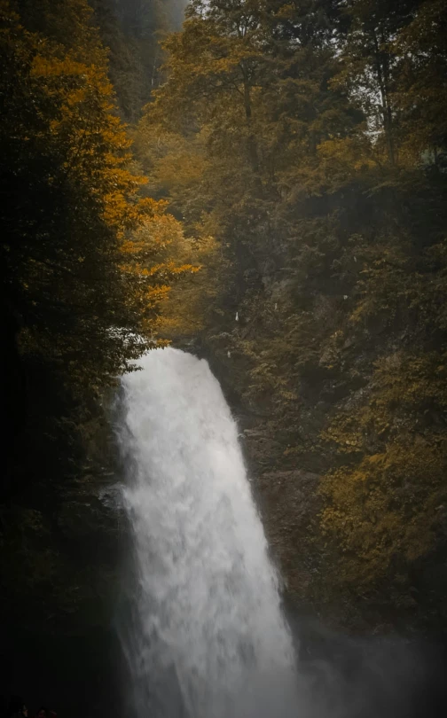 large waterfall in the woods with mist and trees surrounding it