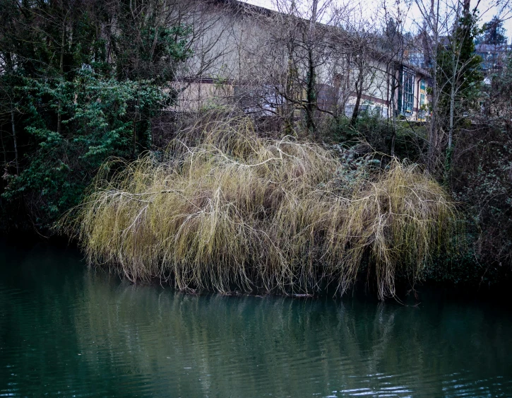 a lake with a hillside in the background