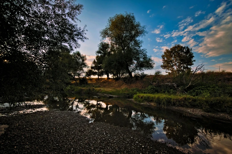 an open pond next to the woods in the dusk