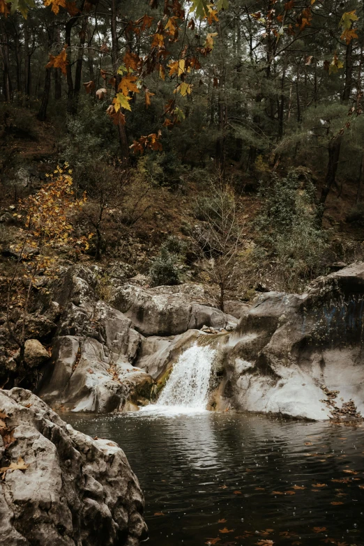 a stream with a waterfall running between rocks and trees