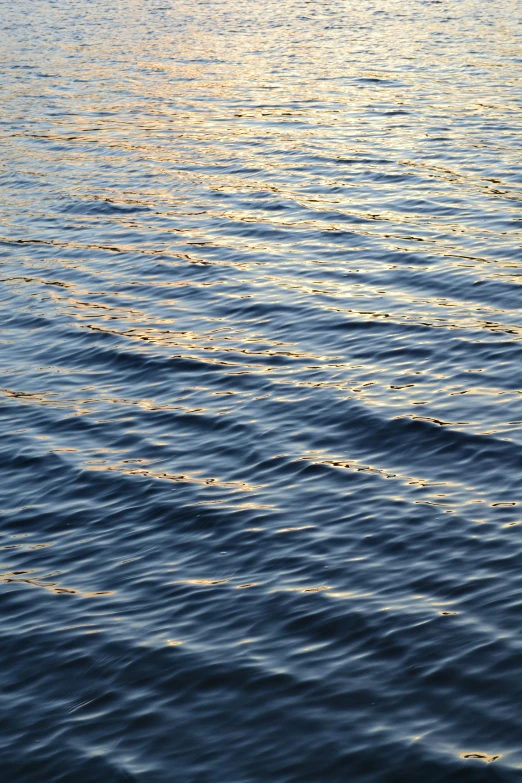 a row of boats are seen in the water