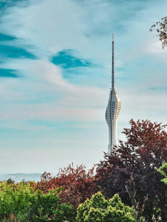 a tower in the middle of the woods