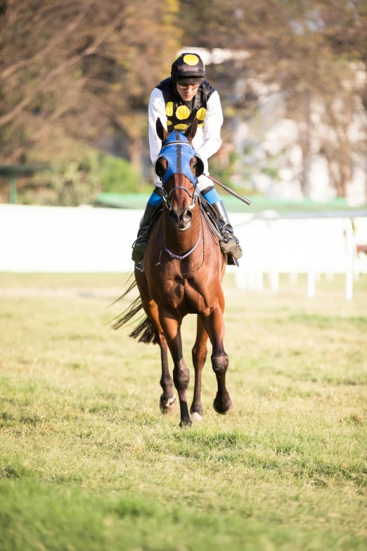 a man riding on the back of a brown horse