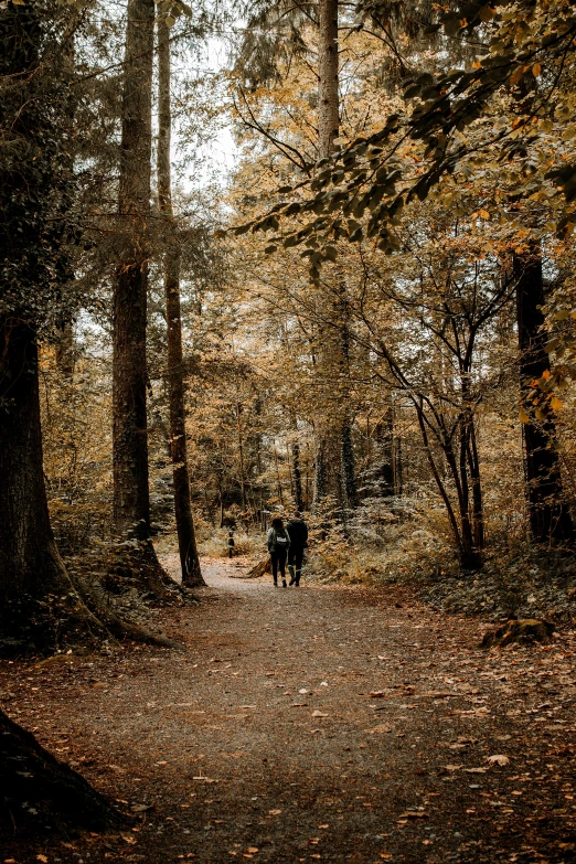 two people walking on a dirt road in the woods