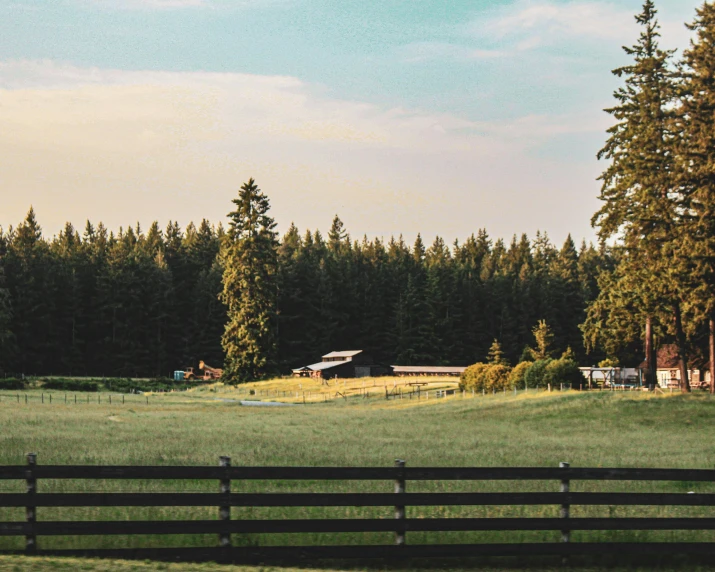 a field of grass with a barn and trees in the background